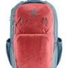 Deuter Cotogy Backpack Currant-Arctic