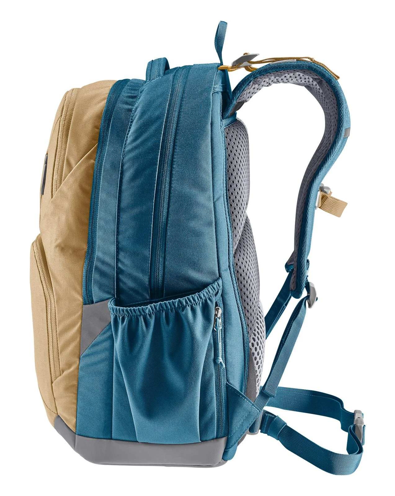 Deuter Cotogy Backpack Clay-Marine 3 Deuter Cotogy Backpack Clay-Marine – Bild 3