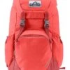 Deuter Walker 20 Currant - Redwood