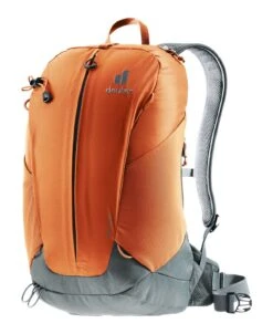 Deuter AC Lite 17 Backpack Chestnut - Teal