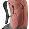 Deuter AC Lite 24 Backpack Redwood-Ivy