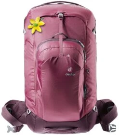 Deuter Aviant Access Pro 65 SL Backpack Maron / Aubergine