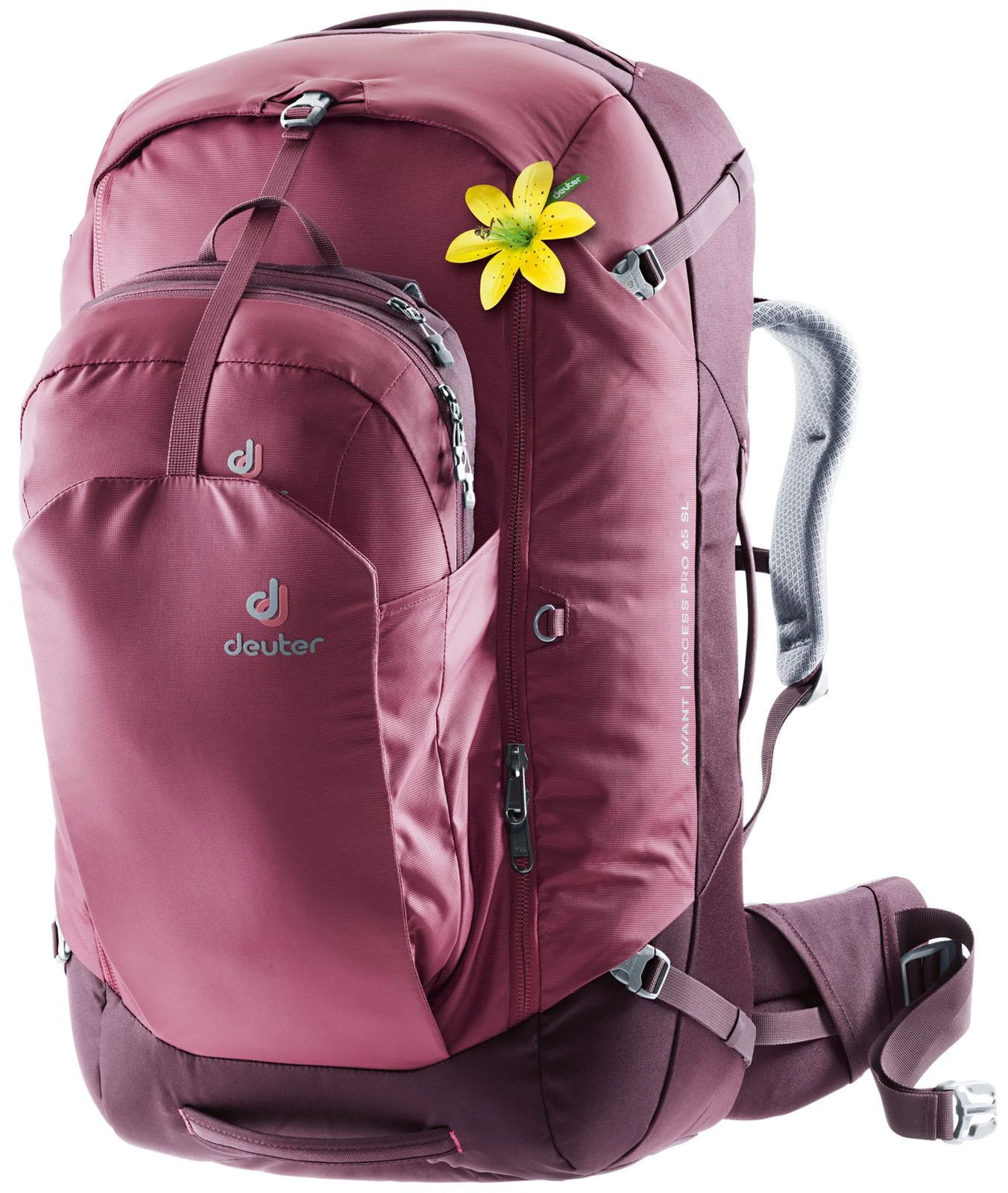 Deuter Aviant Access Pro 65 SL Backpack Maron / Aubergine 2 Deuter Aviant Access Pro 65 SL Backpack Maron / Aubergine – Bild 2