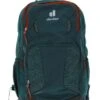 Deuter Cotogy Backpack Deepsea