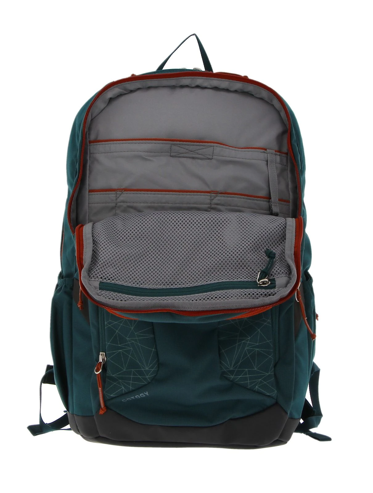 Deuter Cotogy Backpack Deepsea 5 Deuter Cotogy Backpack Deepsea – Bild 5