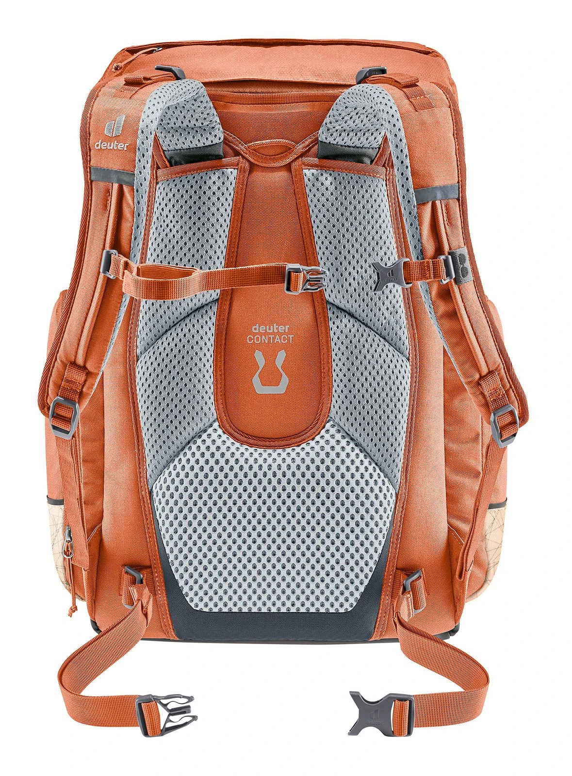 Deuter Scula Chestnut - Blush Micado 5 Deuter Scula Chestnut - Blush Micado – Bild 5
