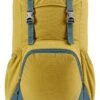 Deuter Walker 20 Turmeric-Arctic