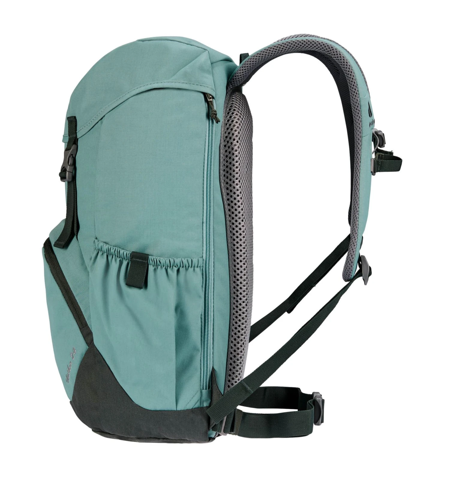 Deuter Walker 24 Jade-Ivy 2 Deuter Walker 24 Jade-Ivy – Bild 2